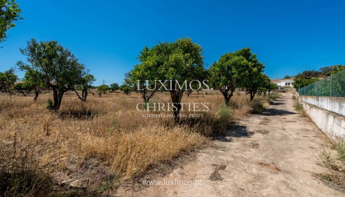 Image No.16-Farmhouse for sale