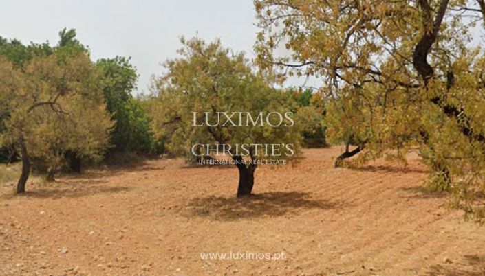 Image No.3-Land for sale