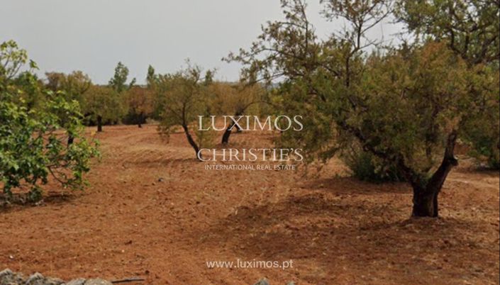 Image No.5-Land for sale