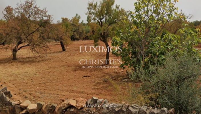 Image No.8-Land for sale