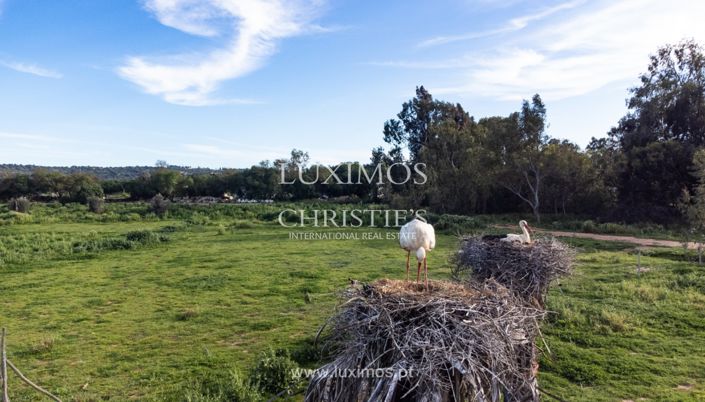 Image No.17-Ferme à vendre à Lagos