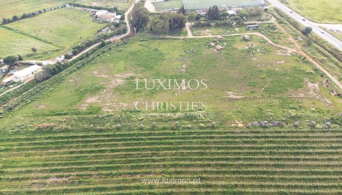 Image No.6-Ferme à vendre à Lagos