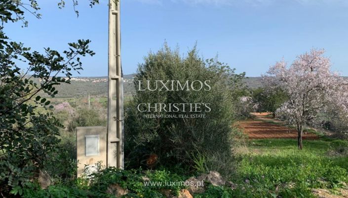 Image No.5-2 Bed Villa for sale