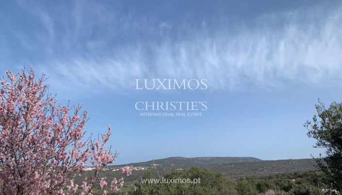 Image No.6-Villa de 2 chambres à vendre à Loule