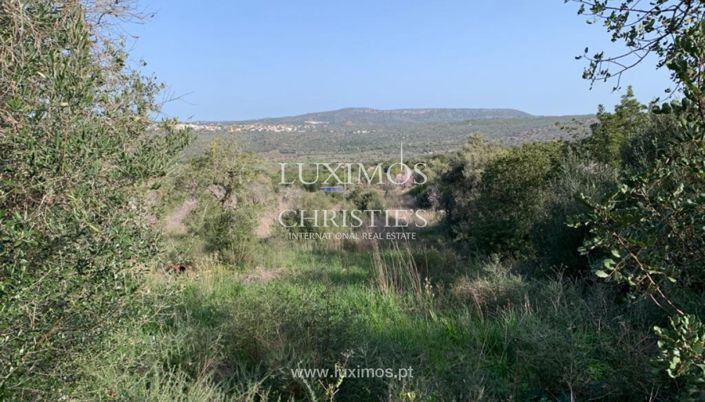 Image No.8-Villa de 2 chambres à vendre à Loule