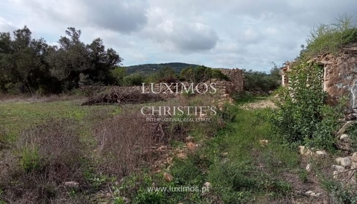 Image No.11-Terre à vendre à Faro City