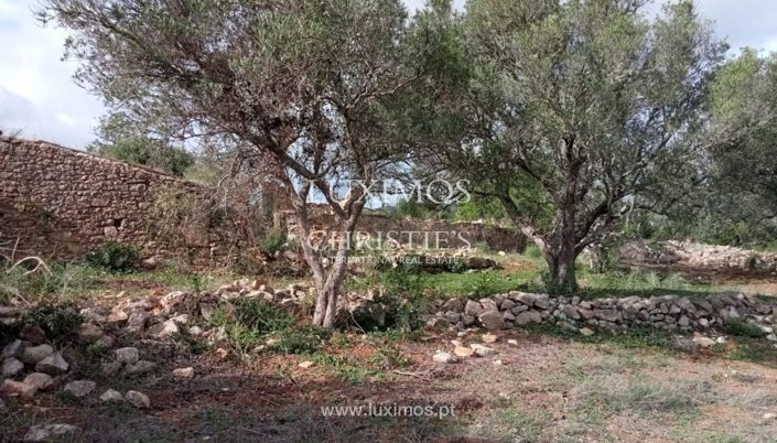 Image No.16-Terre à vendre à Faro City