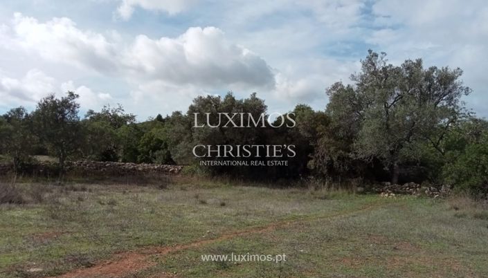 Image No.26-Terre à vendre à Faro City