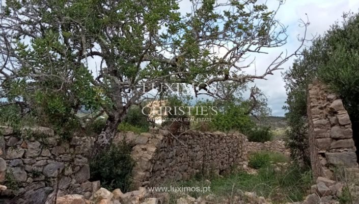 Image No.7-Terre à vendre à Faro City