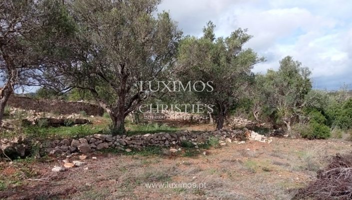 Image No.10-Terre à vendre à Faro City