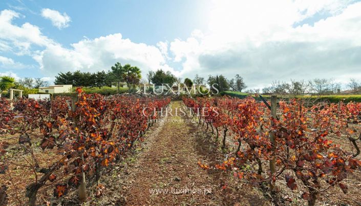 Image No.4-Commercial de 7 chambres à vendre à Lagos