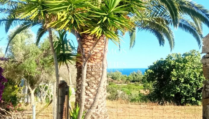 Image No.30-3 Bed Villa for sale