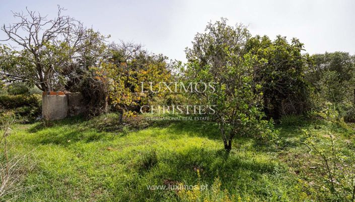 Image No.11-Land for sale