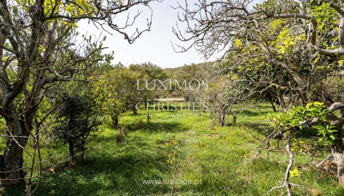 Image No.14-Land for sale