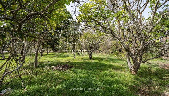 Image No.15-Land for sale