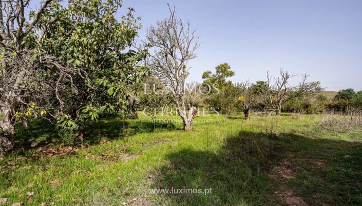 Image No.7-Land for sale