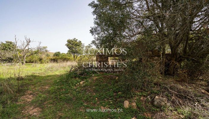 Image No.8-Land for sale