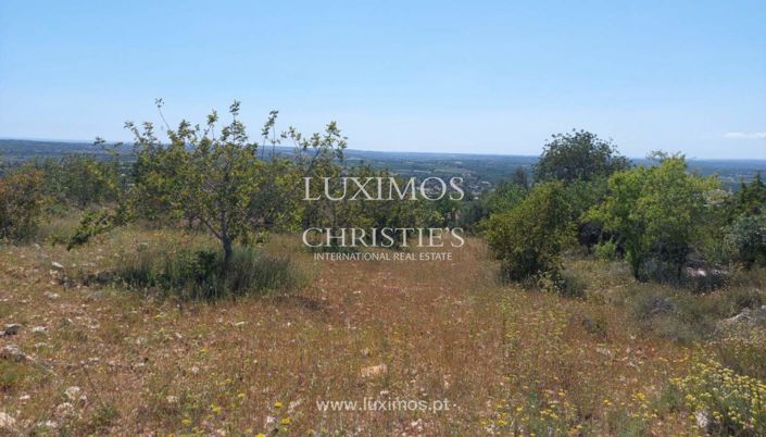 Image No.8-3 Bed Land for sale