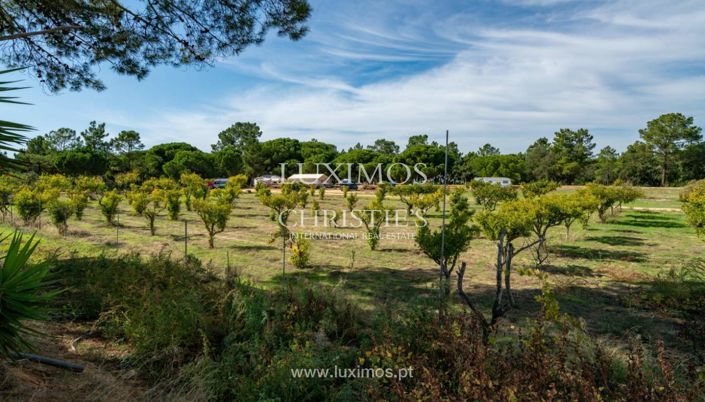 Image No.11-Ferme de 6 chambres à vendre à Faro City