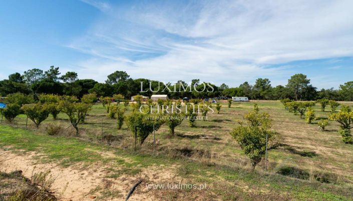 Image No.16-Ferme de 6 chambres à vendre à Faro City