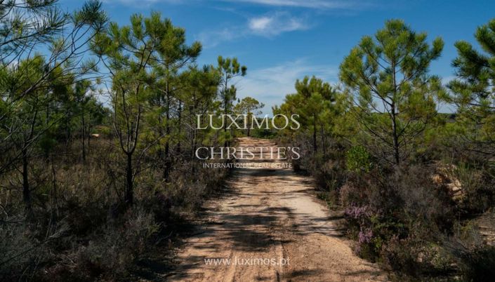 Image No.7-6 Bed Farmhouse for sale