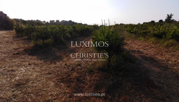 Image No.13-Ferme à vendre à Tavira