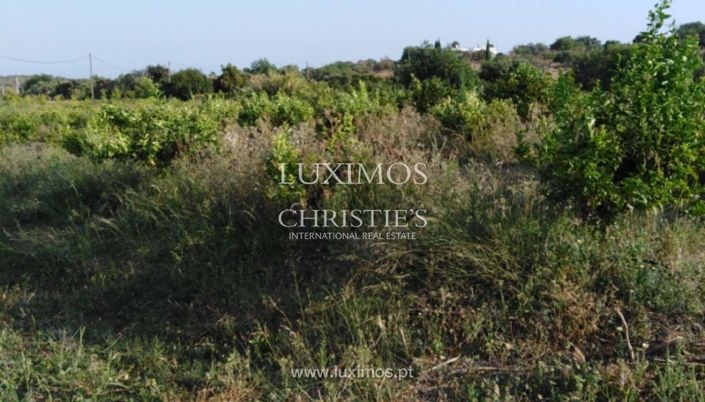 Image No.14-Ferme à vendre à Tavira