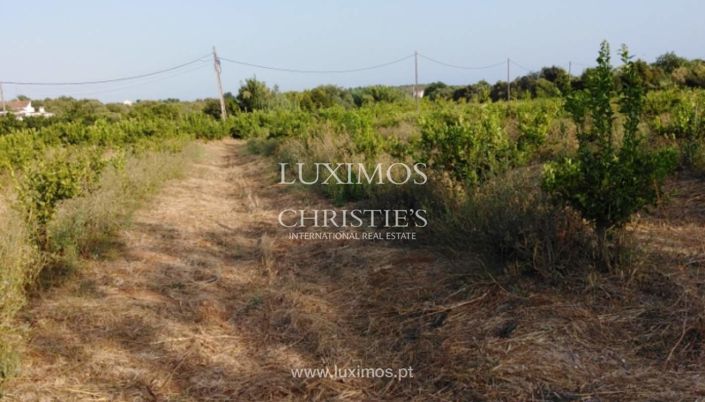 Image No.3-Ferme à vendre à Tavira