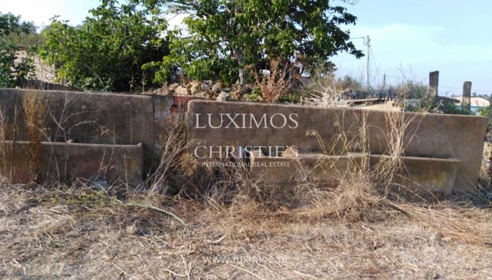 Image No.8-Ferme à vendre à Tavira