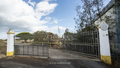 prod209715lg