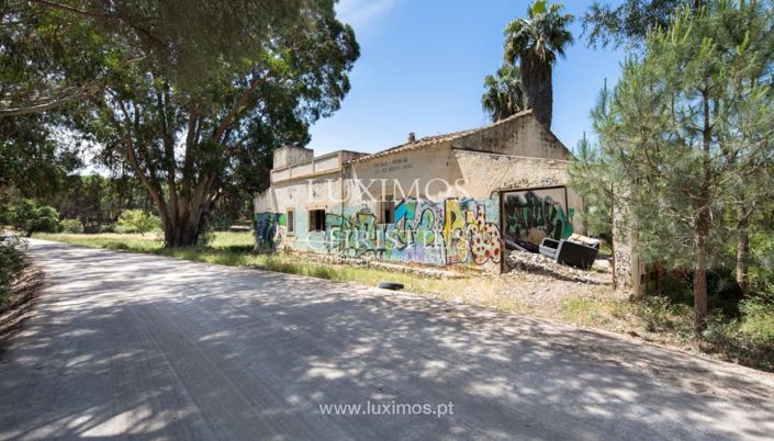 Image No.11-Terre à vendre à Faro City