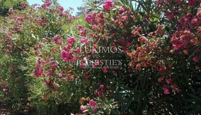 Image No.3-Terre à vendre à Loule