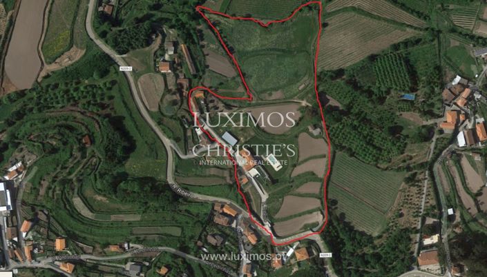 Image No.25-Ferme de 4 chambres à vendre à Santo Tirso