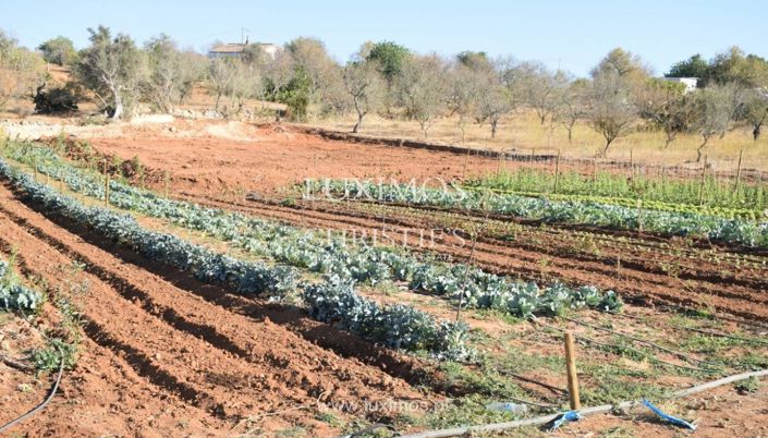 Image No.11-Farmhouse for sale