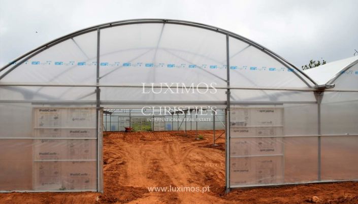 Image No.13-Farmhouse for sale