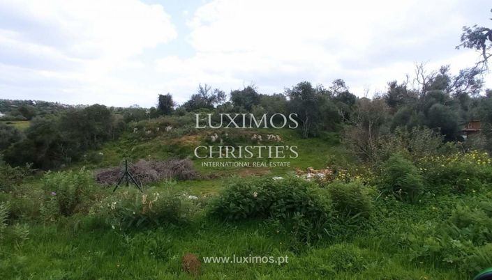 Image No.17-Farmhouse for sale