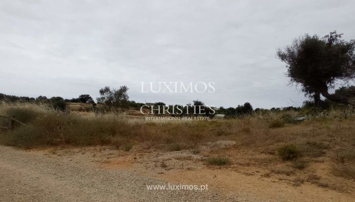 Image No.19-Farmhouse for sale