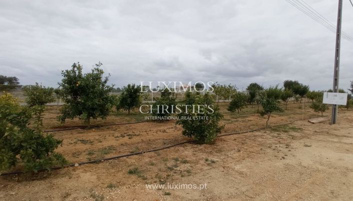 Image No.21-Farmhouse for sale