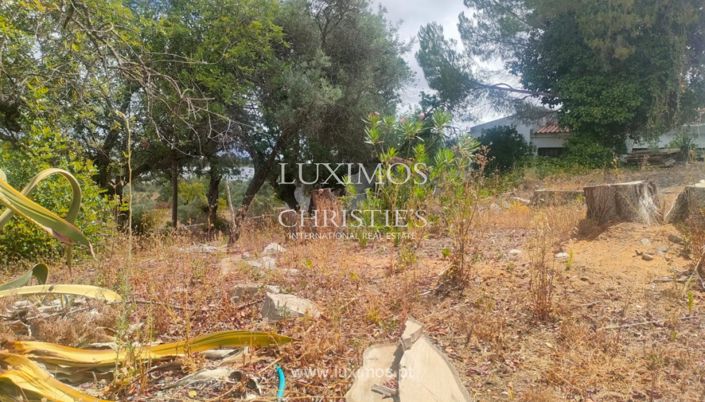 Image No.6-Land for sale