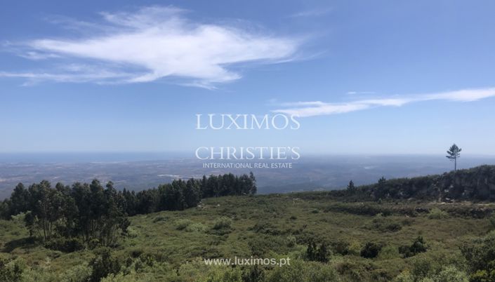 Image No.12-Land for sale