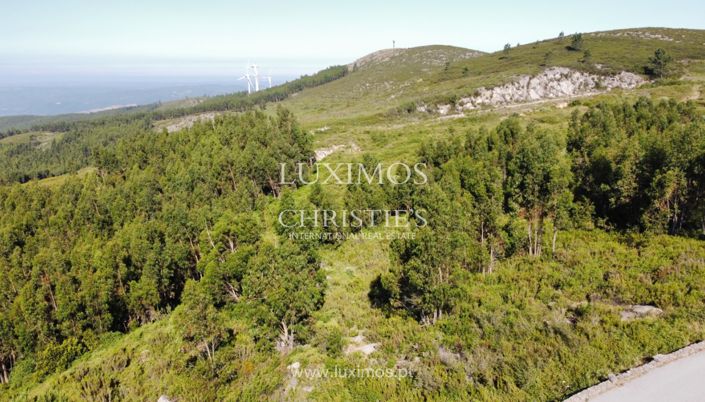 Image No.14-Land for sale