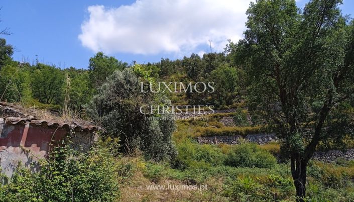 Image No.3-Land for sale