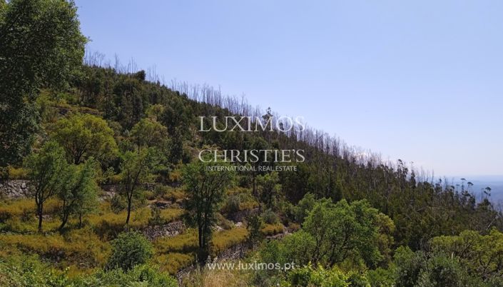 Image No.4-Land for sale