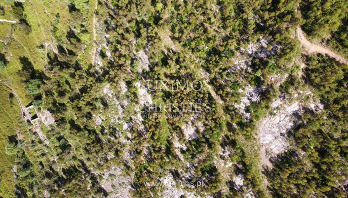 Image No.7-Land for sale