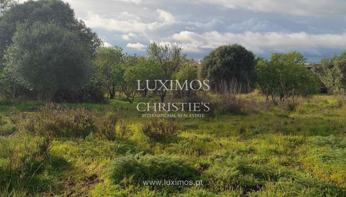 Image No.6-Terre à vendre à Portimao