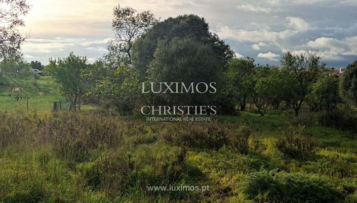 Image No.7-Terre à vendre à Portimao