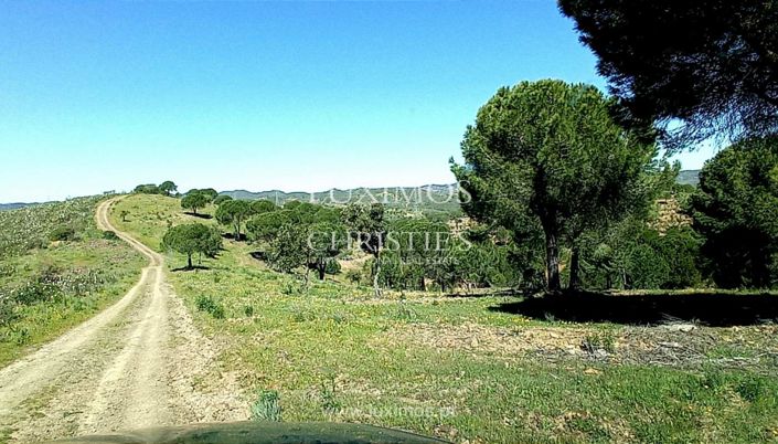 Image No.8-Land for sale