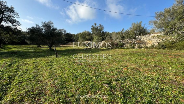 Image No.11-Terre à vendre à Loule