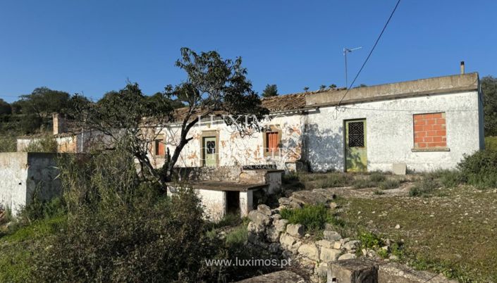 Image No.3-Terre à vendre à Loule