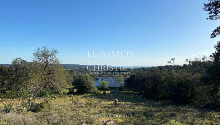 Image No.4-Terre à vendre à Loule